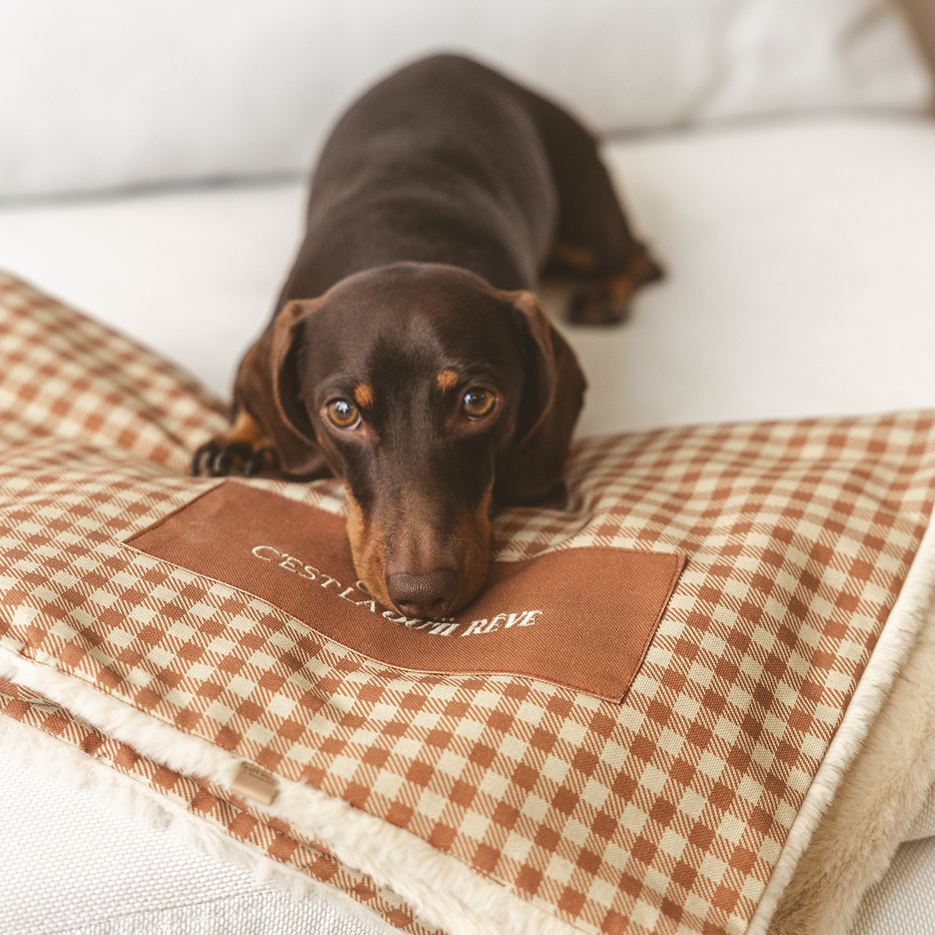 Couverture “Chut... c'est là qu'il rêve”